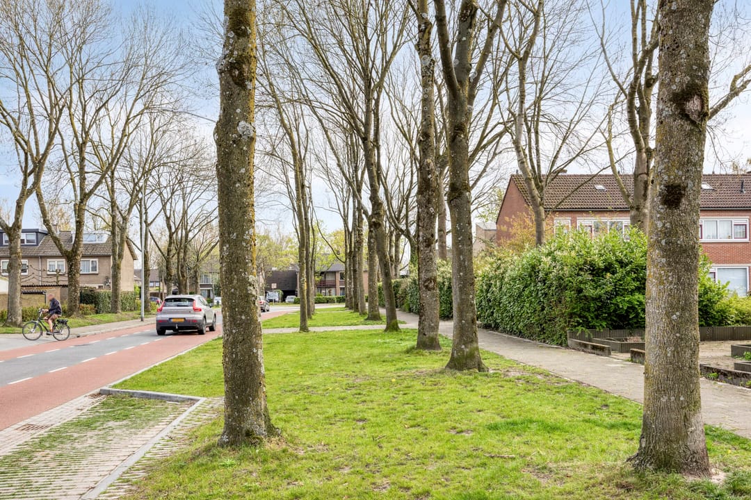 Foto 31 van Zeggelaan 49