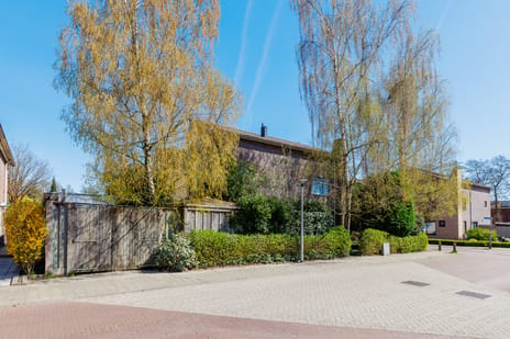 Elbertbos thumbnail