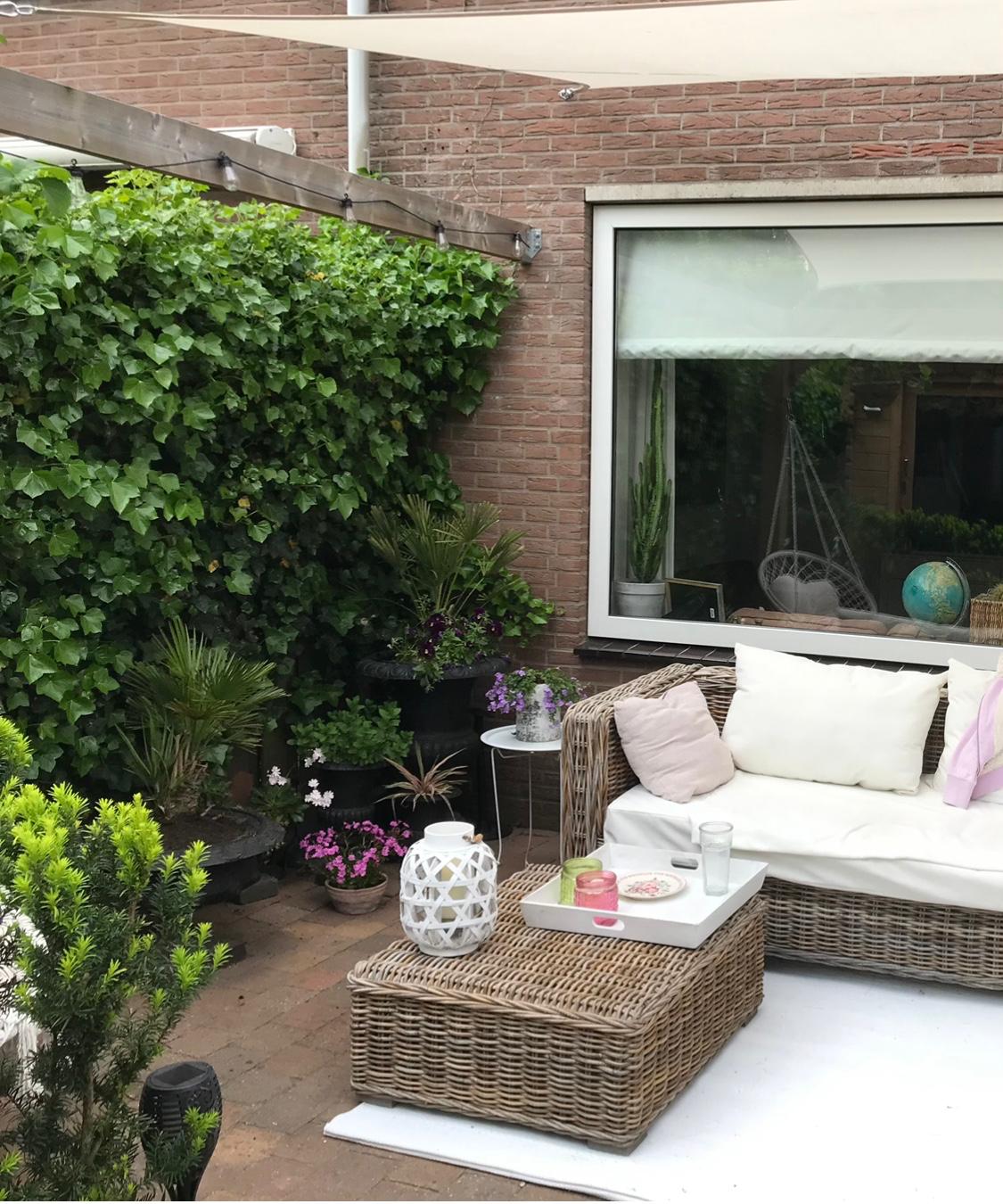 Photo 35 of Zeggemeen 114