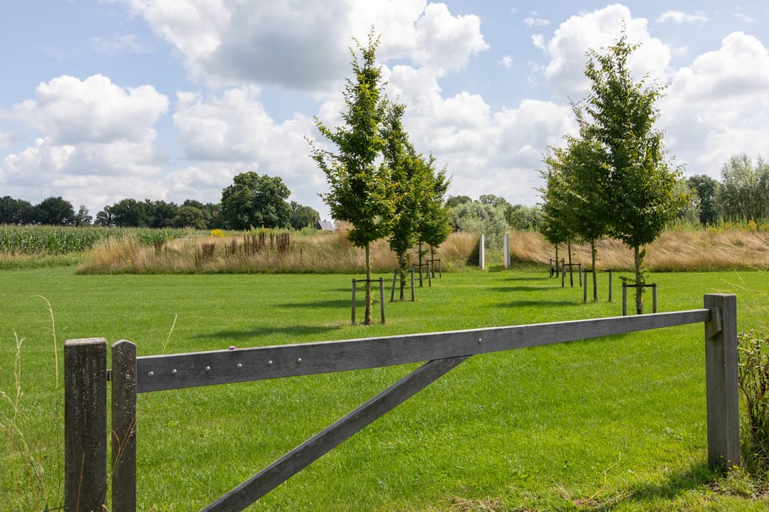 Photo 86 of Voorbroek 1