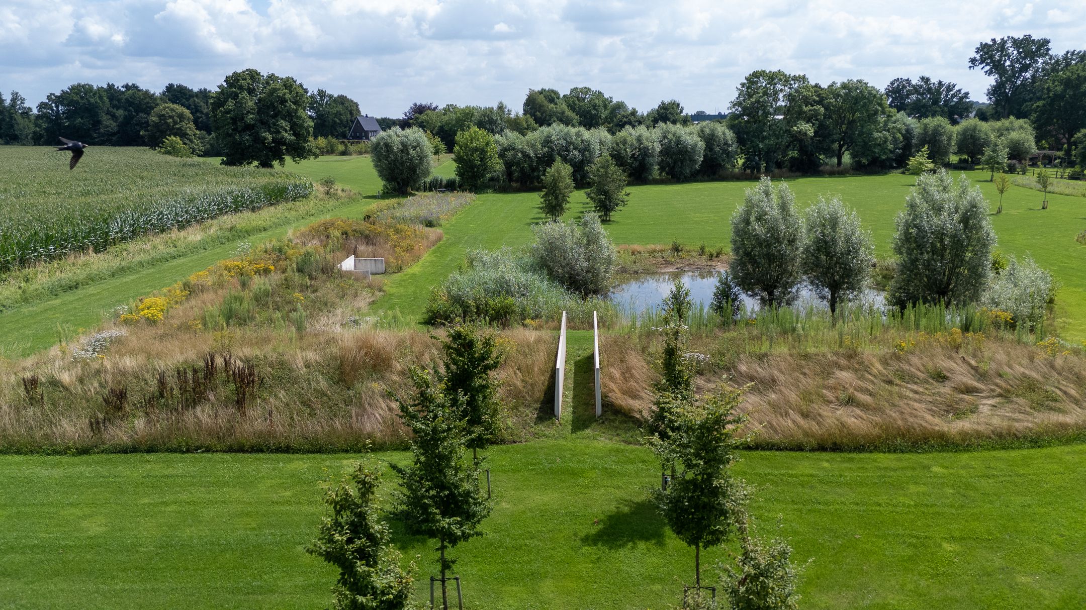 Photo 87 of Voorbroek 1