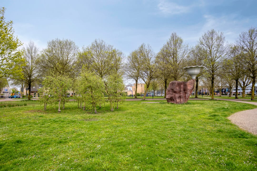 Foto 46 van Vuurvlinderronde 25