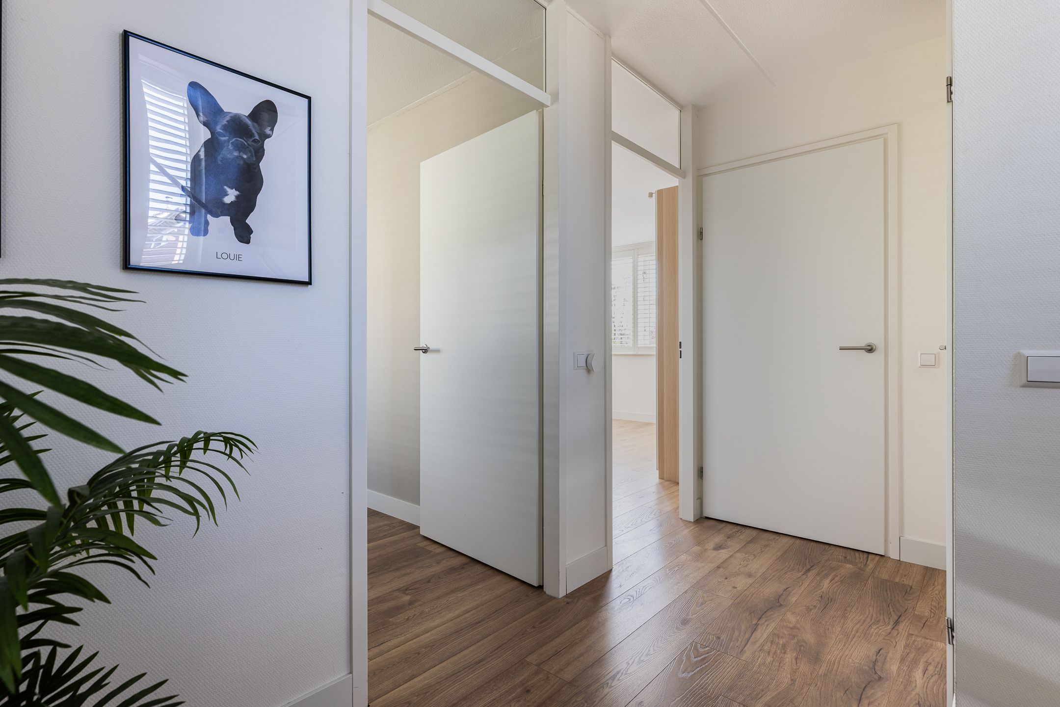 Foto 24 van Raanhuisstraat 2