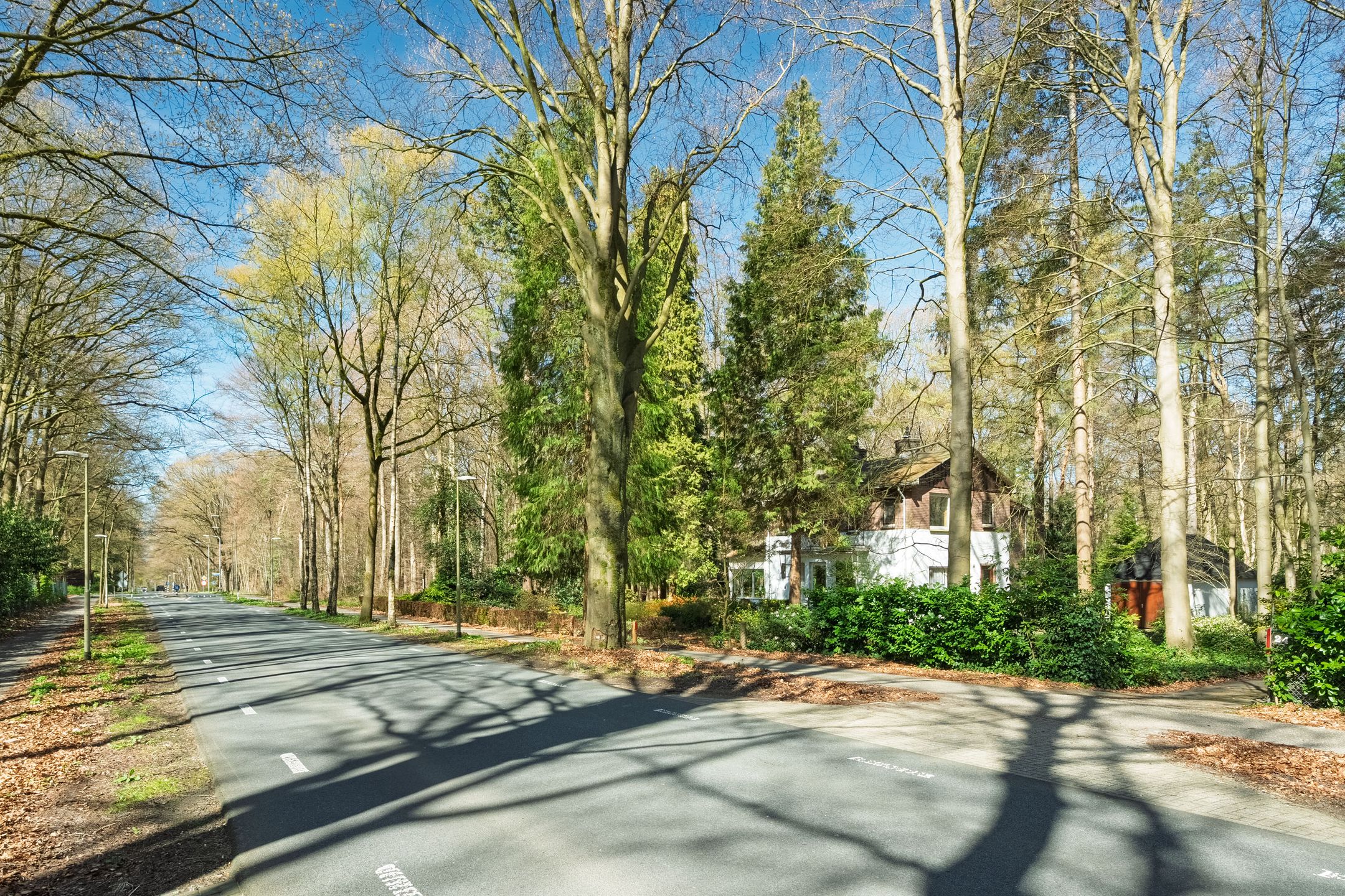 Foto 3 van Keijenbergseweg 24