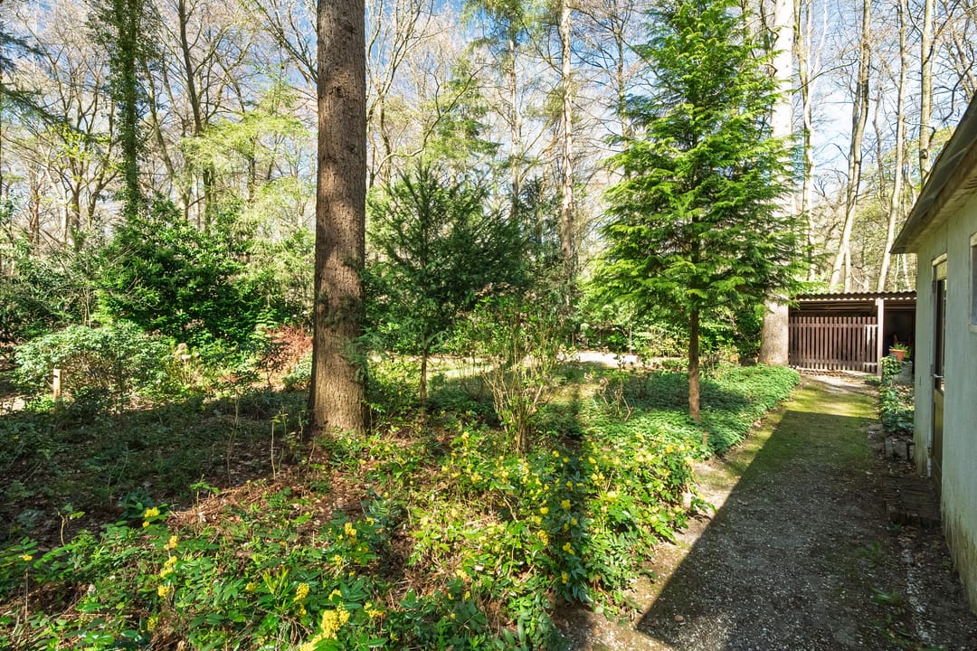 Foto 32 van Keijenbergseweg 24