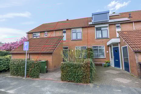 Boekweitveld thumbnail