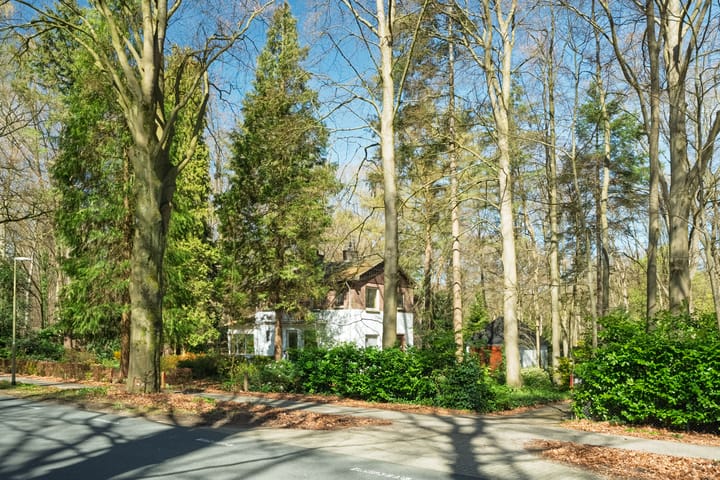 Foto 2 van Keijenbergseweg 24