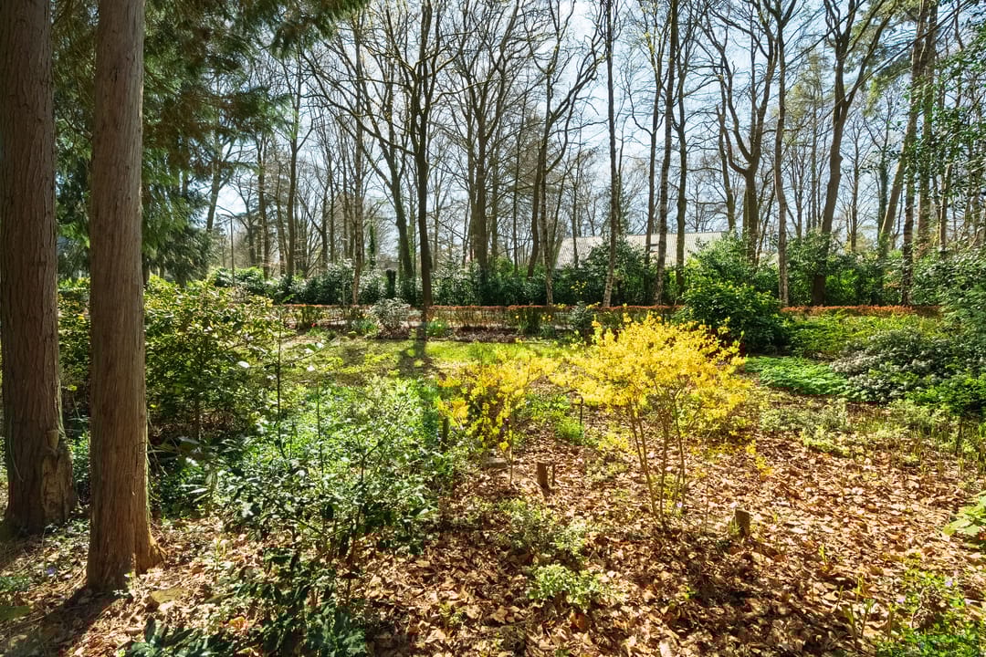 Foto 37 van Keijenbergseweg 24