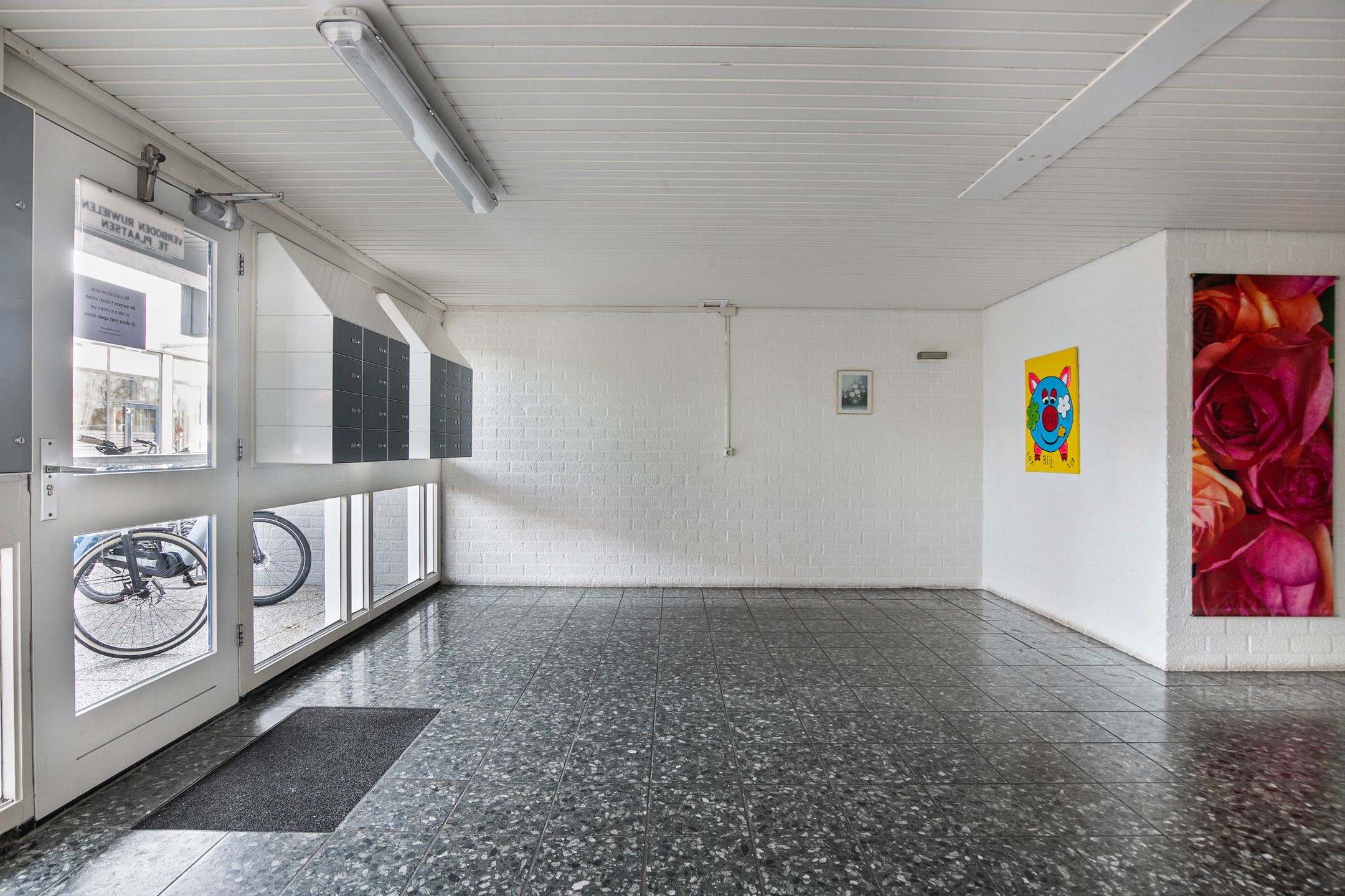 Photo 6 of Penningkruid 6