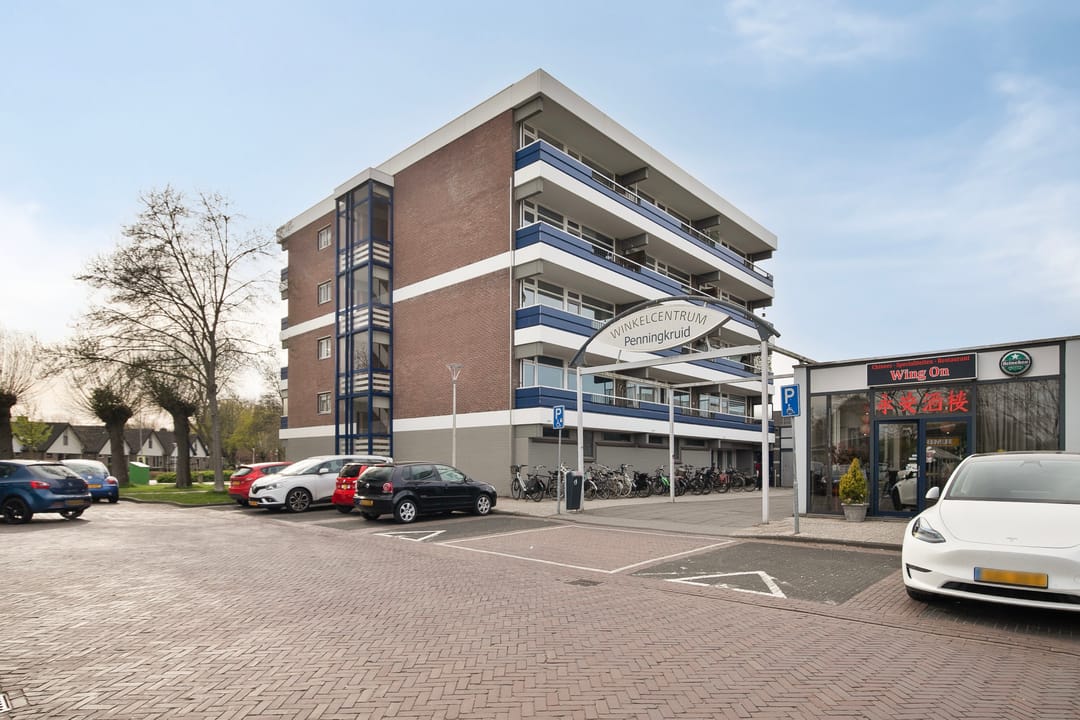 Photo 1 of Penningkruid 6