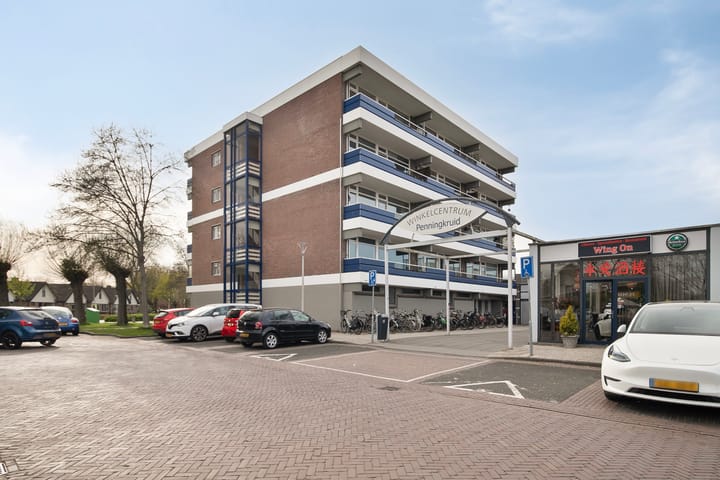 Penningkruid 6 main image