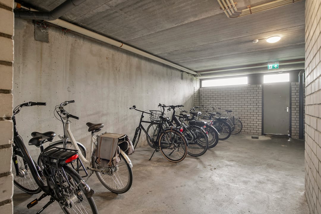 Photo 26 of Penningkruid 6