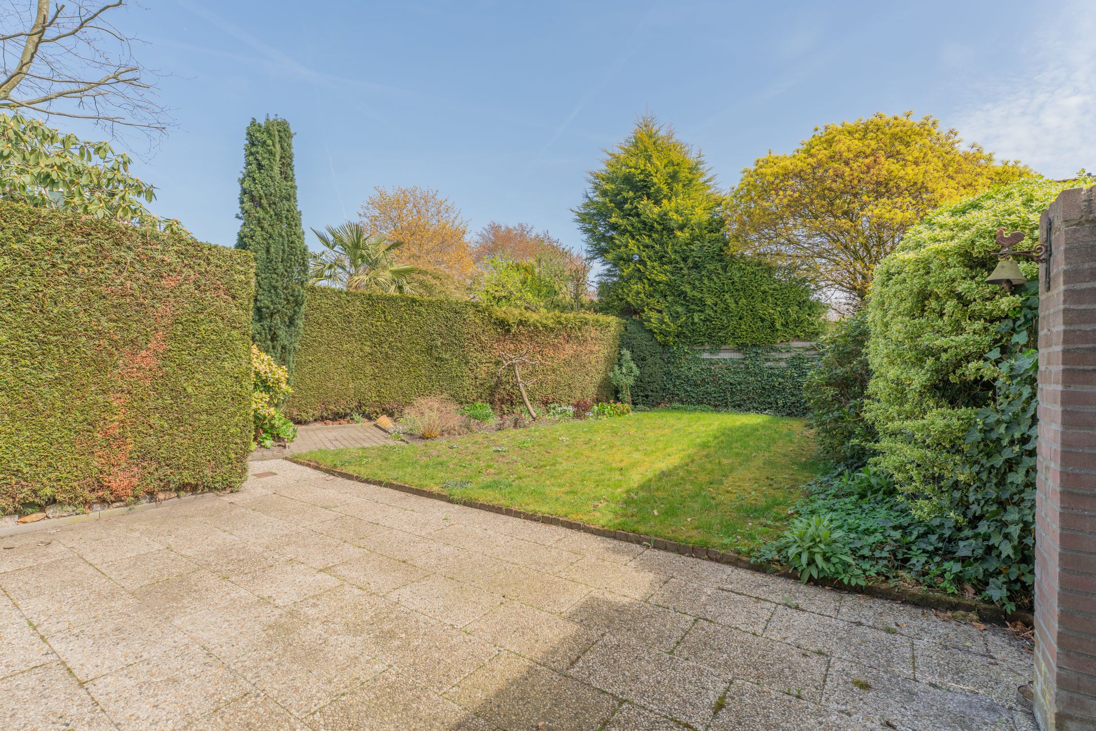 Foto 30 van Kamgras 1