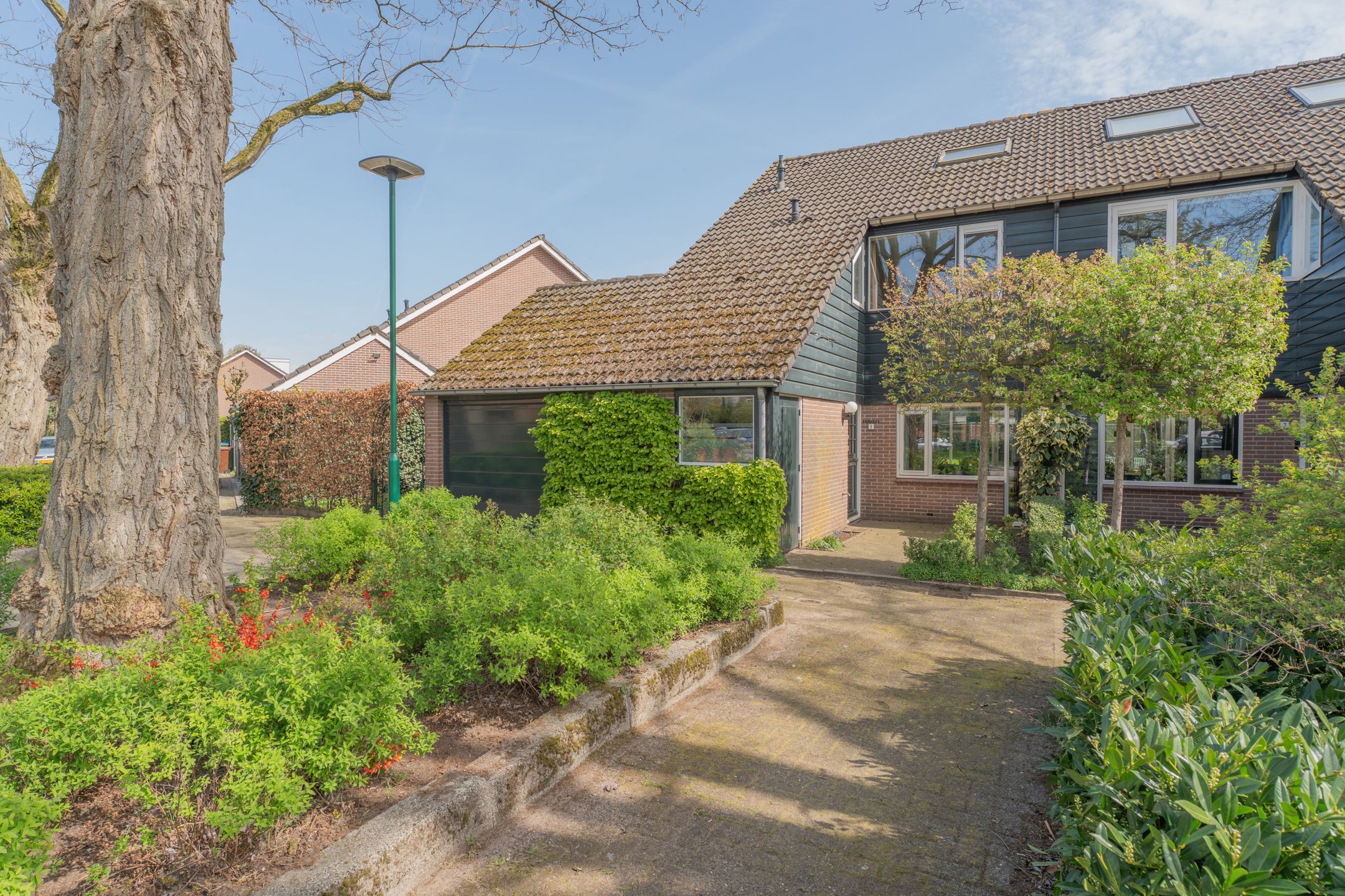 Foto 6 van Kamgras 1