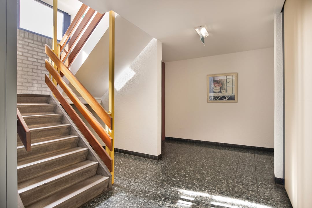 Photo 8 of Penningkruid 6