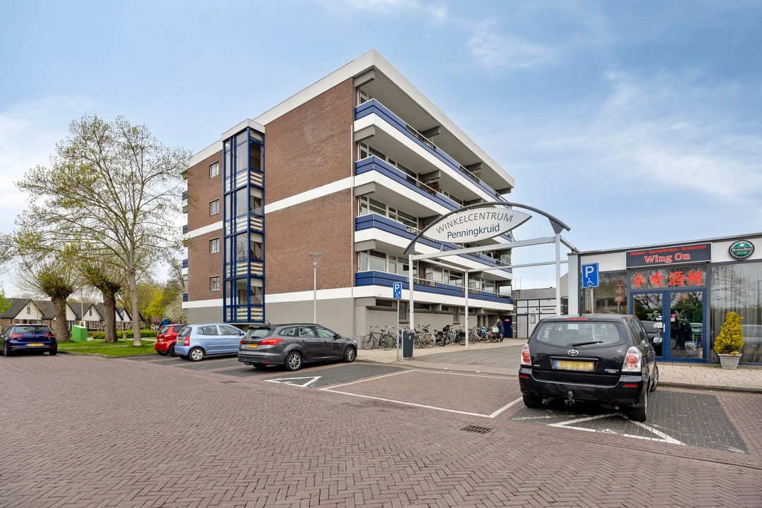 Photo 28 of Penningkruid 6