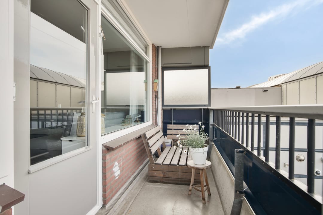 Photo 23 of Penningkruid 6