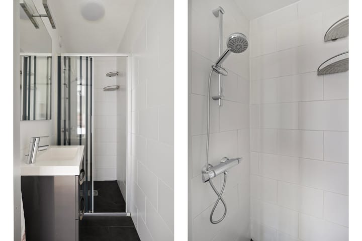 Foto 4 van Penningkruid 6