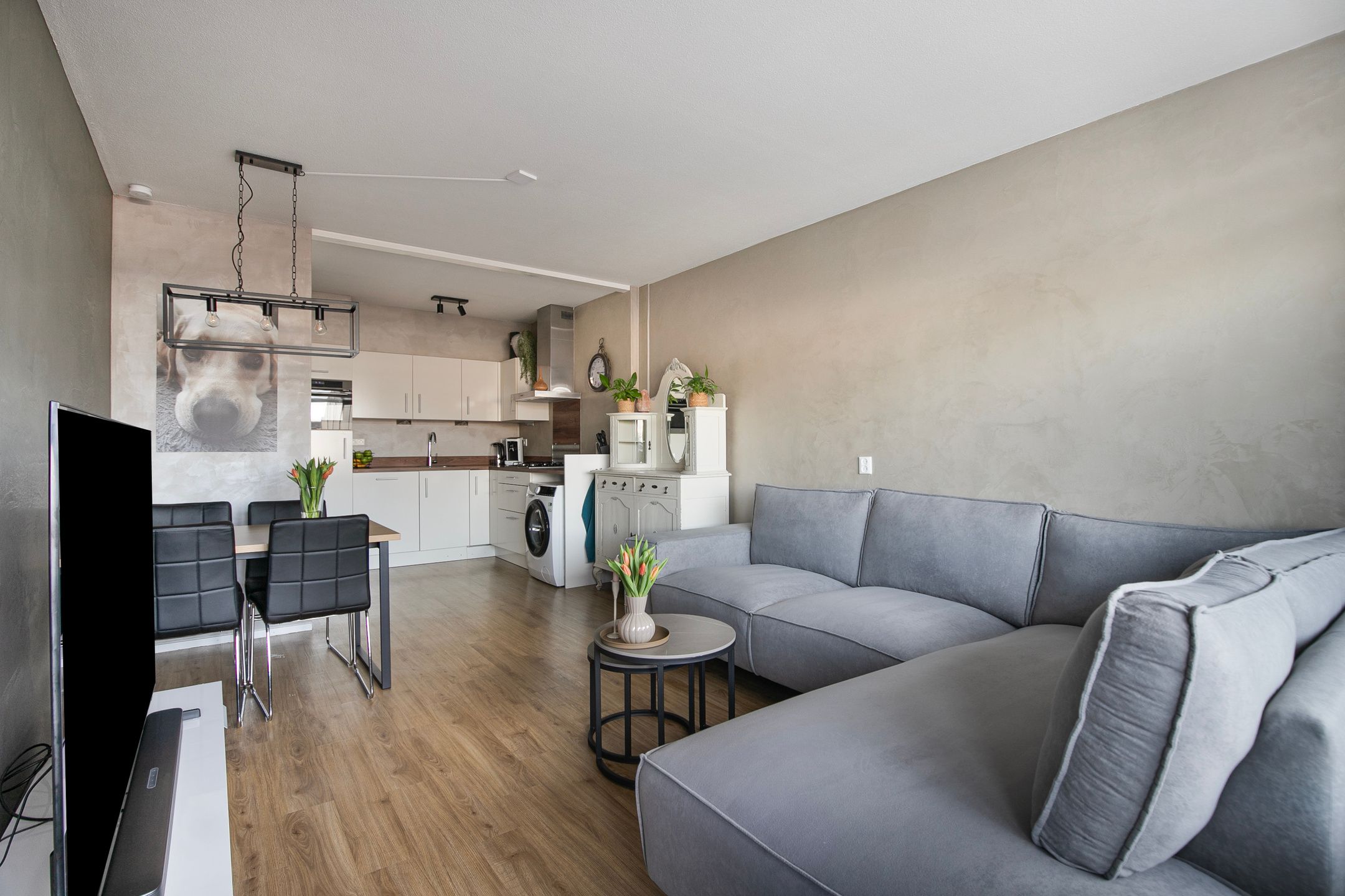 Photo 15 of Penningkruid 6