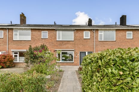 undefined main image