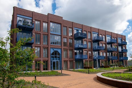 undefined main image