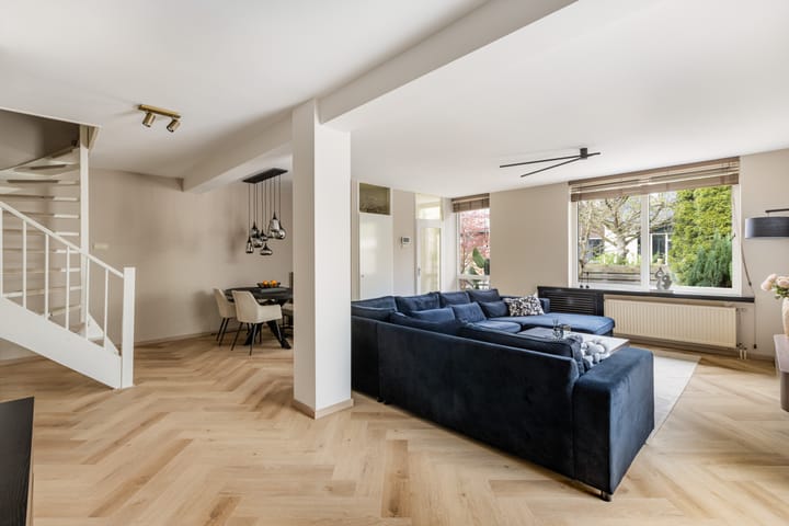 Foto 2 van Beukvaren 3