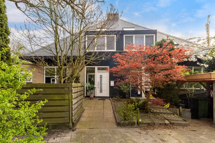 Foto 4 van Beukvaren 3