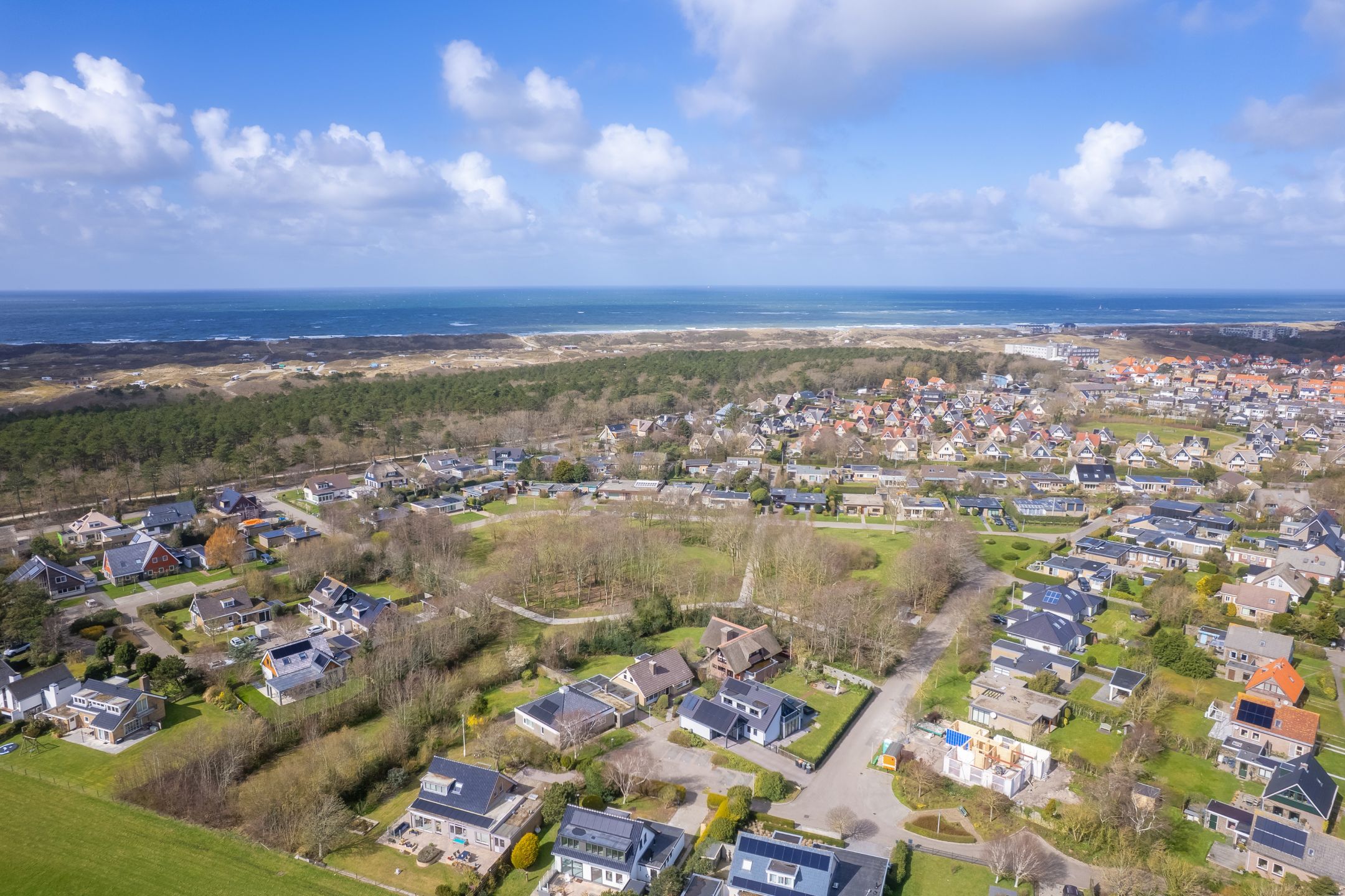 Foto 39 van Orchismient 27