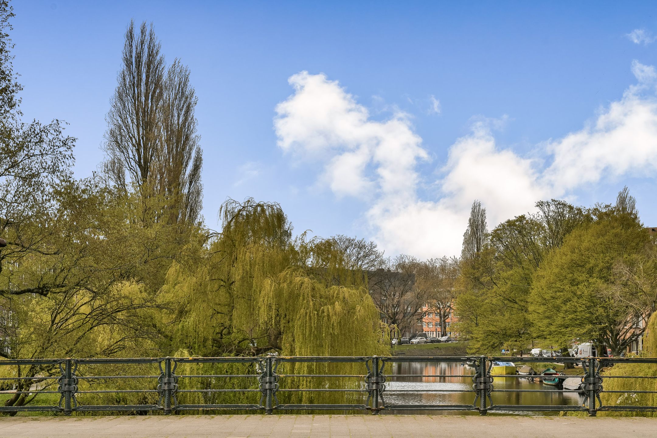 Foto 21 van Theseusstraat 12-2