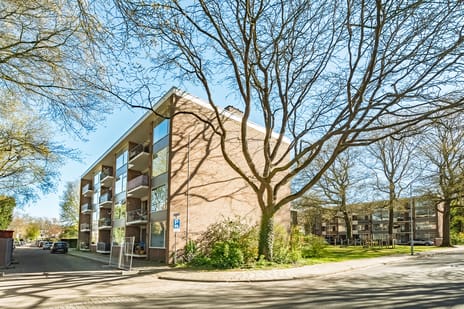 Eykmanstraat thumbnail