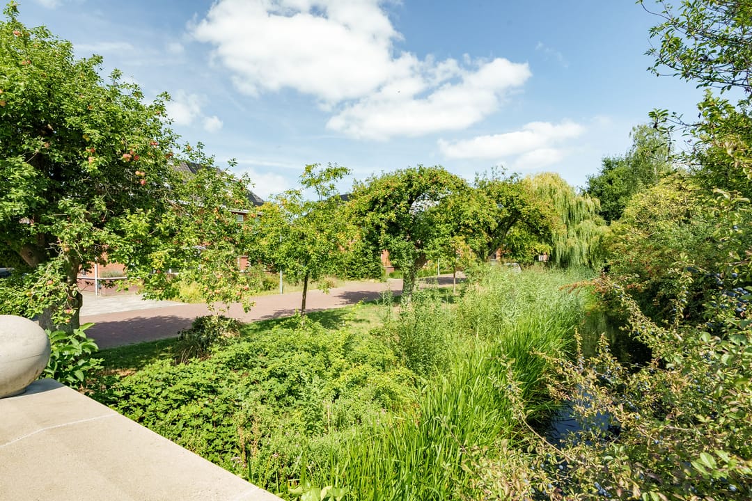 Foto 38 van Elstar 76