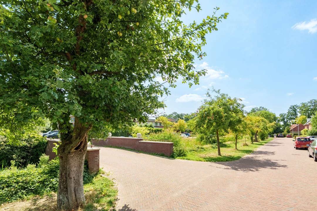 Foto 37 van Elstar 76