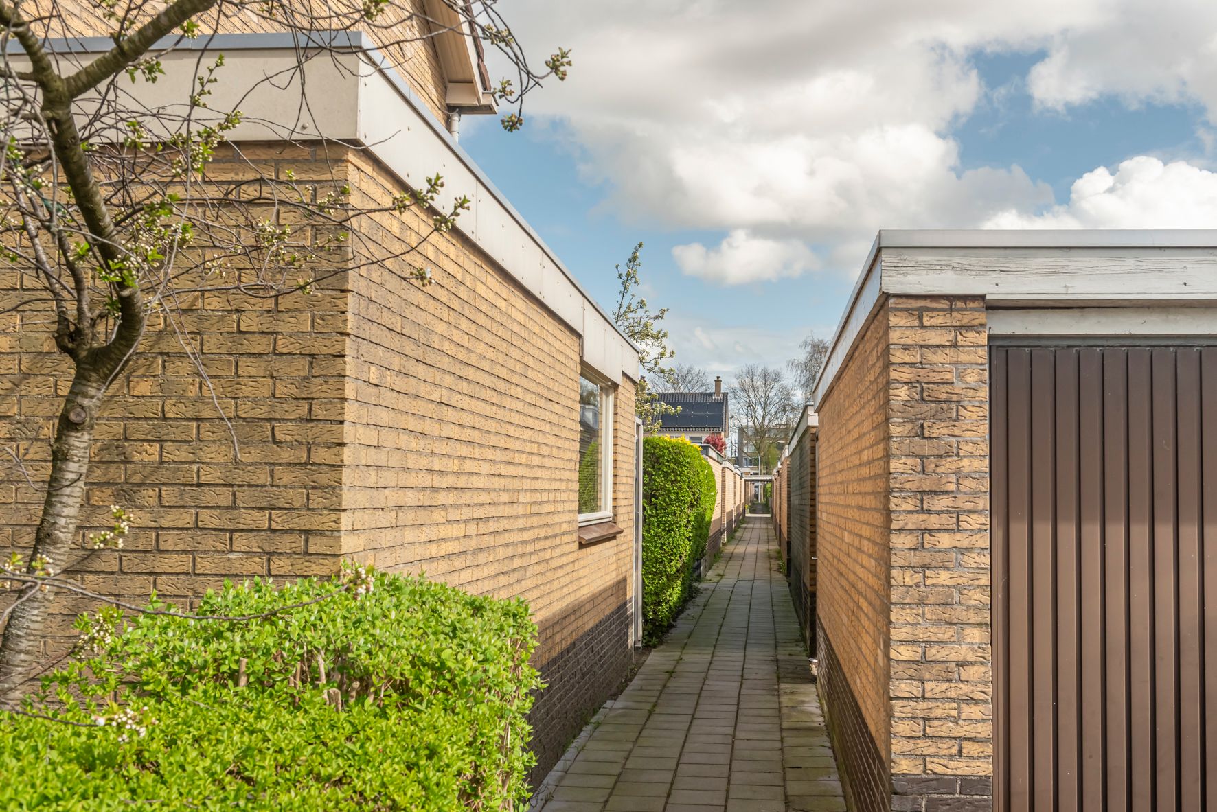 Photo 30 of Albert Verweijstraat 14