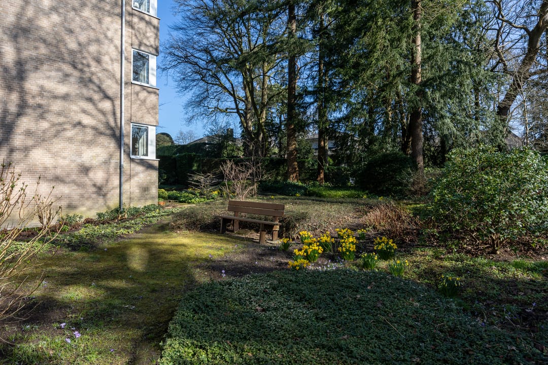 Photo 26 of Tromplaan 18