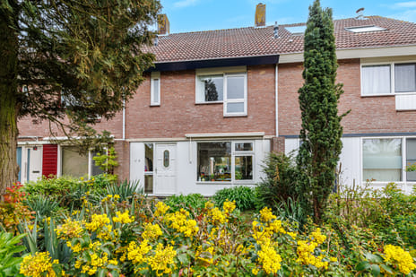 Frambozengaard thumbnail