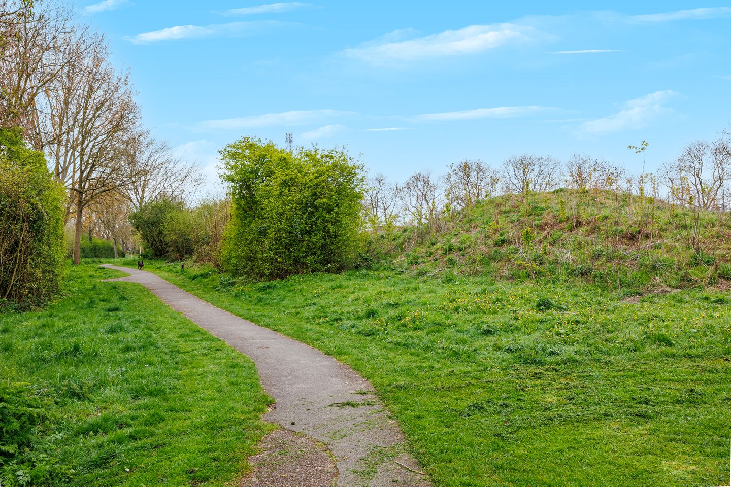 Foto 4 van Frambozengaard 43