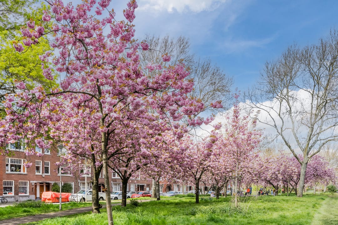 Foto 41 van Abraham Kuyperlaan 16-A01