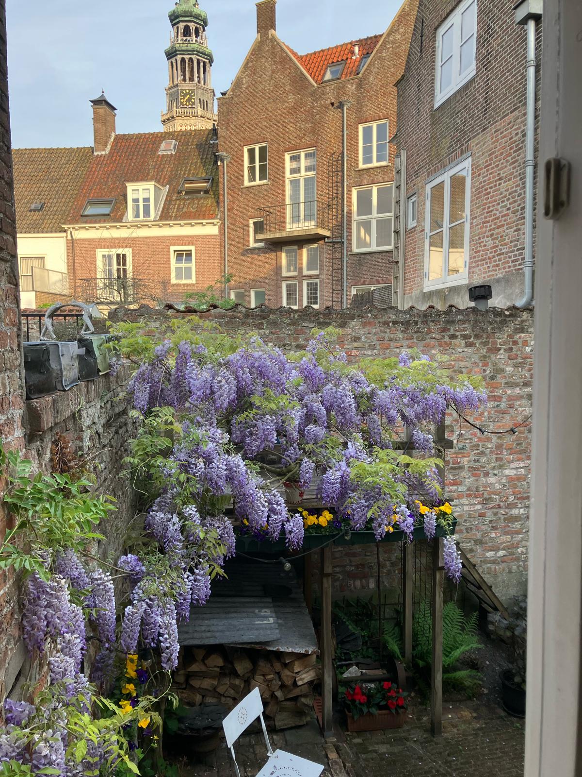 Foto 15 van Latijnse Schoolstraat 15