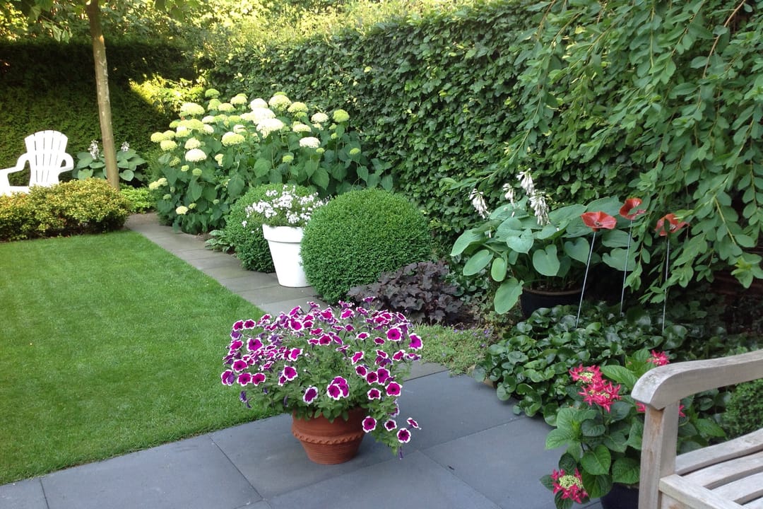 Foto 13 van Braamkamp 303