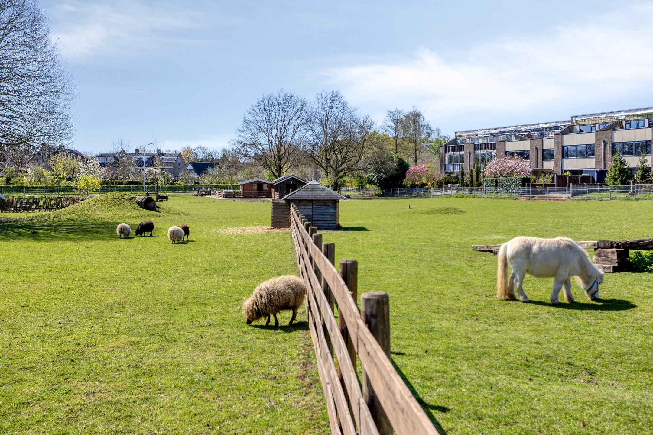 Foto 39 van Braamkamp 303