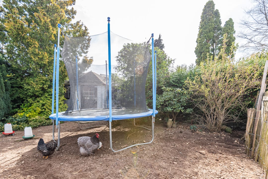 Foto 46 van Hogeweg 49