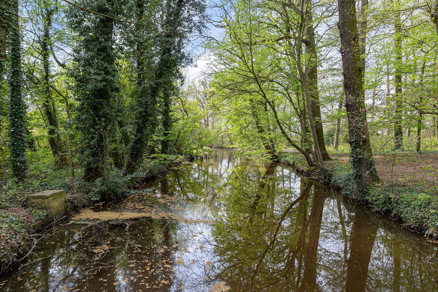 Foto 49 van de Keverbergstraat 48