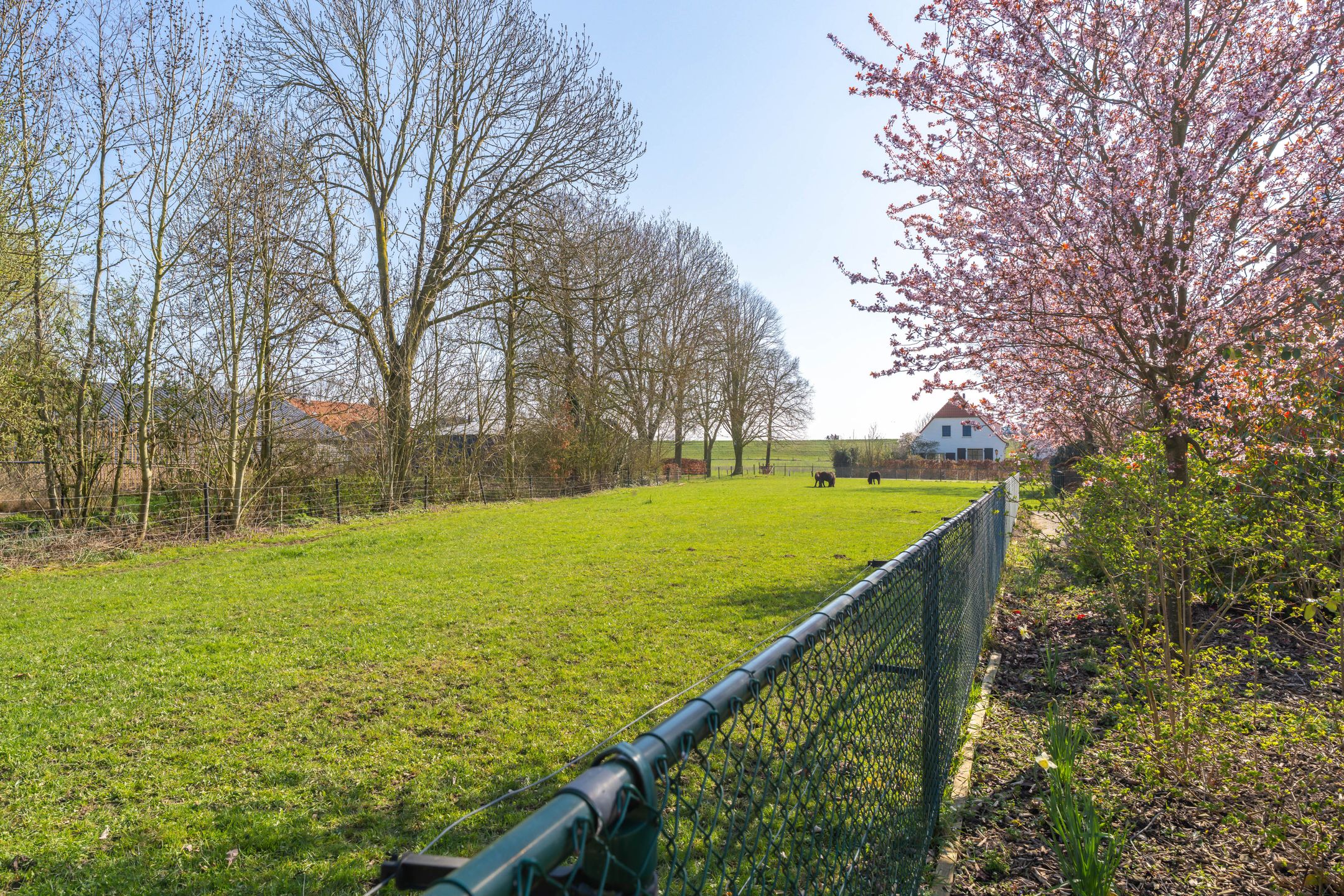 Photo 69 of Kalkestraat 76