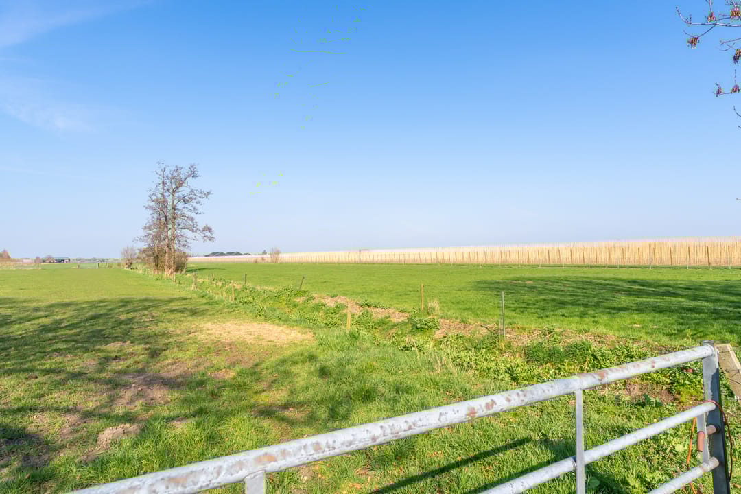 Photo 67 of Kalkestraat 76