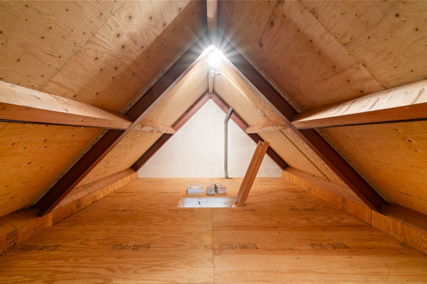 Photo 25 of Vislaantje 11