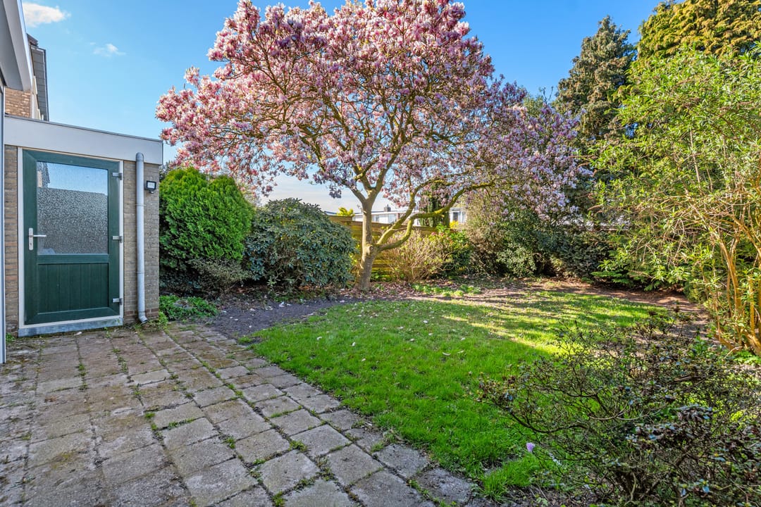 Foto 31 van Beukemastraat 46