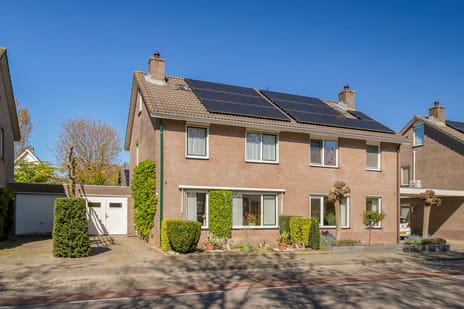 undefined main image