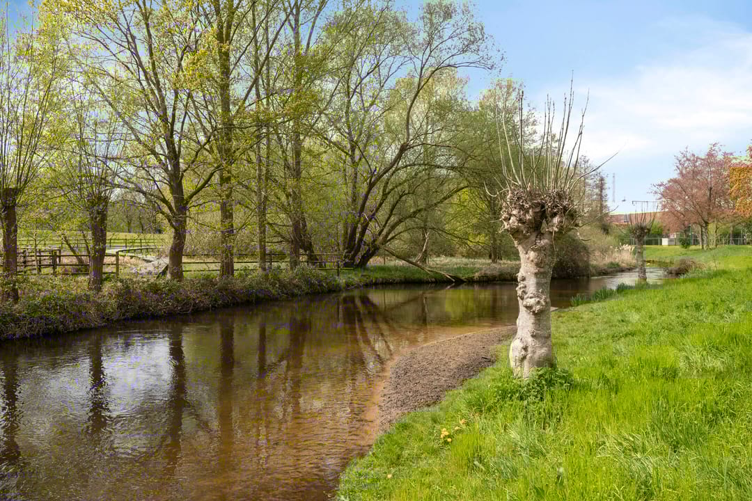 Photo 62 of Boutestraat 20