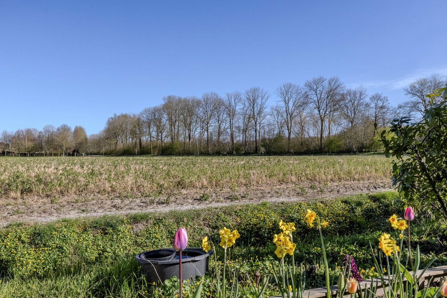 Foto 95 van Uithuizerweg 17