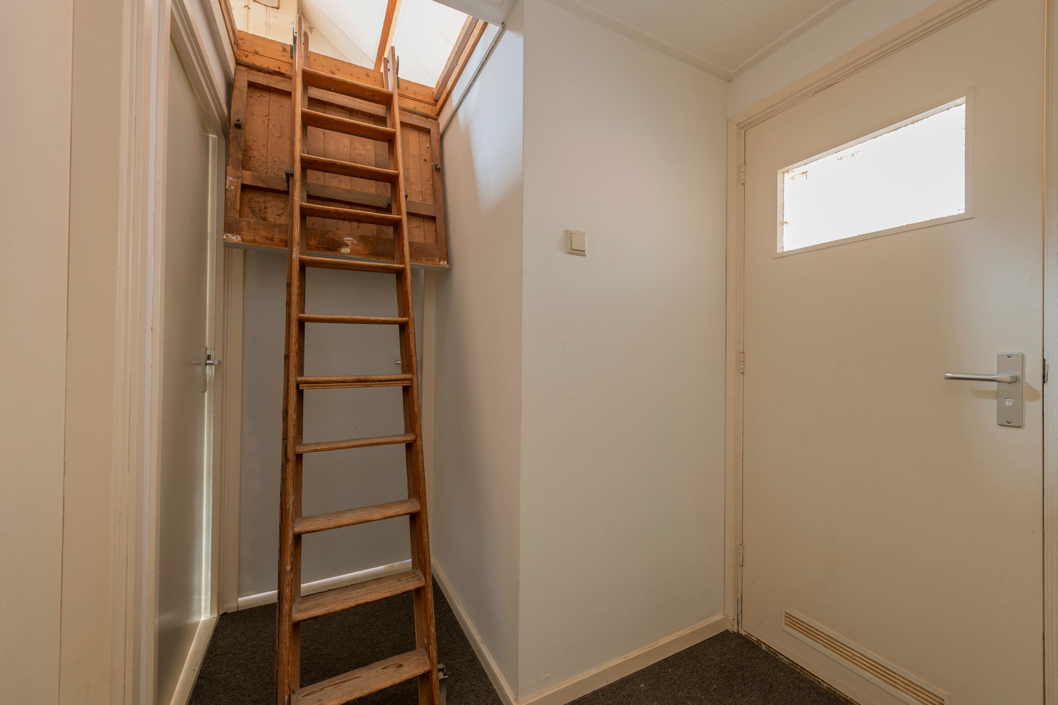 Foto 21 van Hellebaardstraat 8